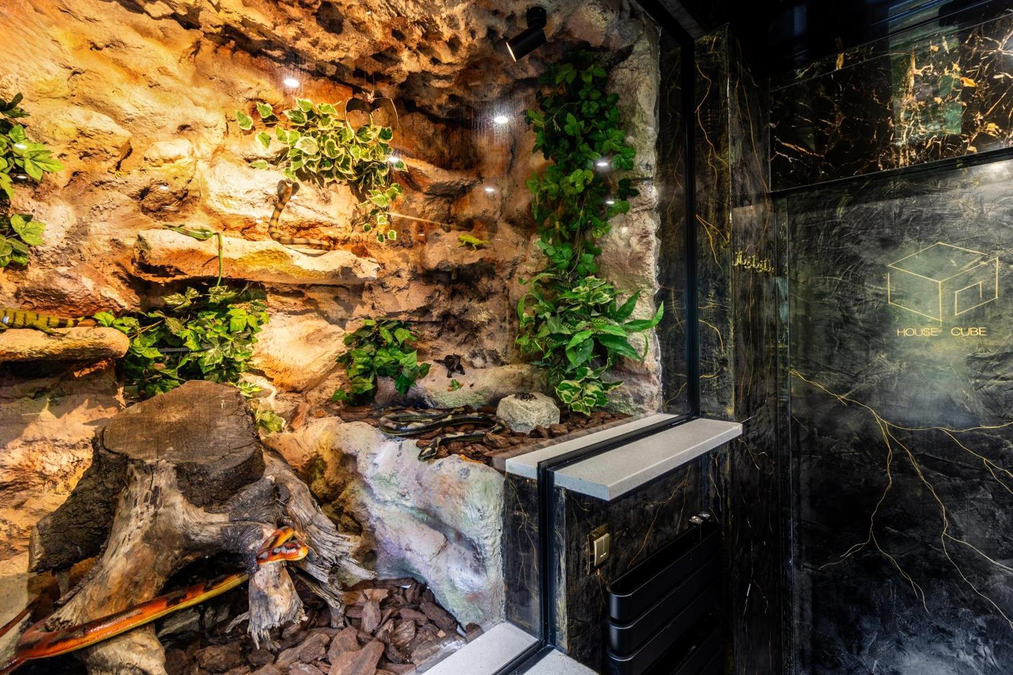 Вилла Housecube, Bar , Prywatne Kino, Bilard , Luxus Вроцлав Экстерьер фото